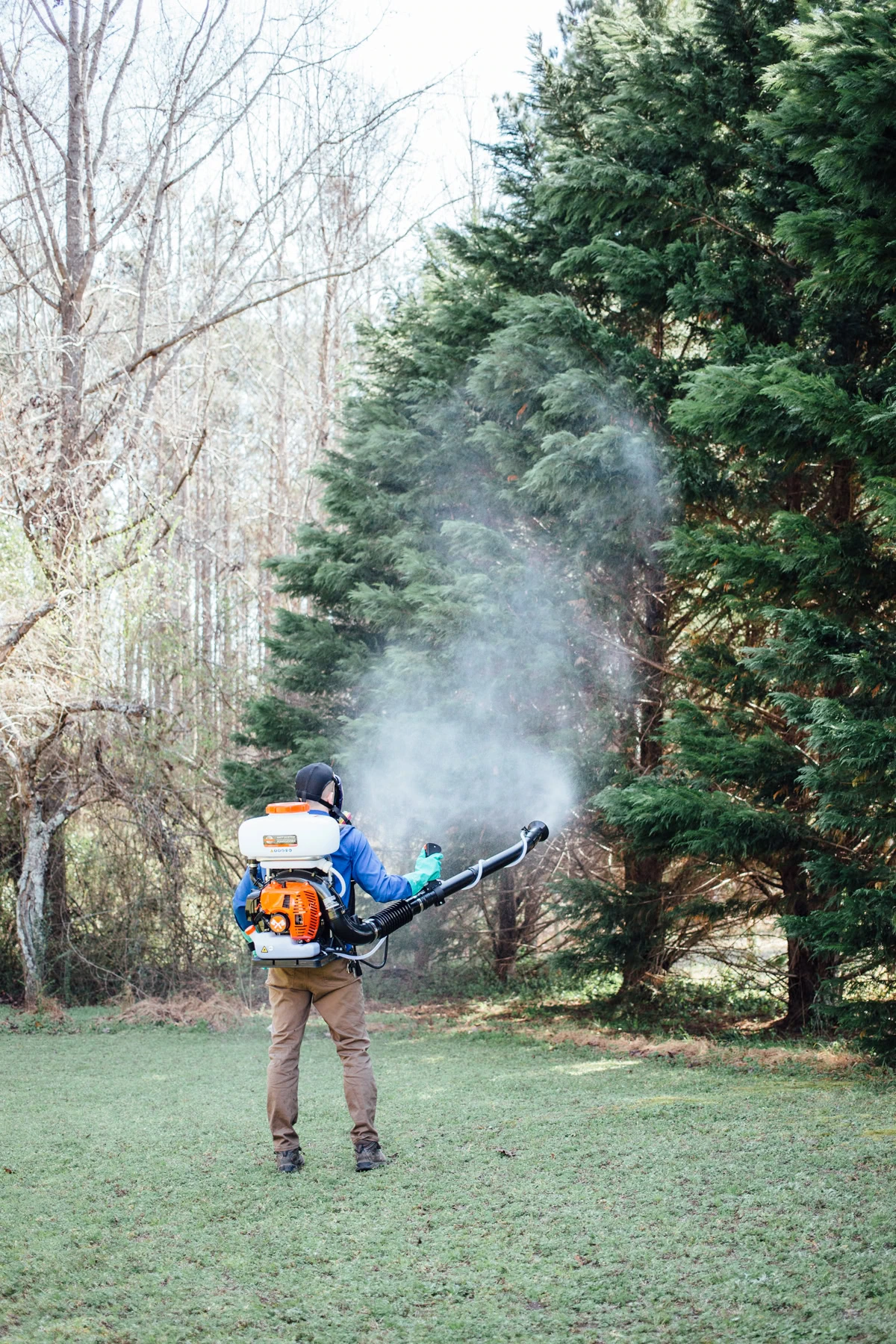 Kumo technician applying mosquito treatment to shrubs around a home
