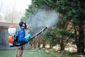 Fogging/Misting Where Mosquitoes Hide