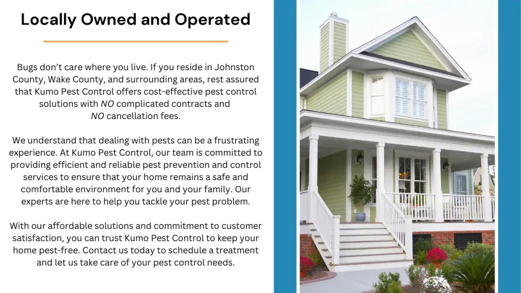 At Kumo Pest Control, our team is committed to providing efficient and reliable pest prevention