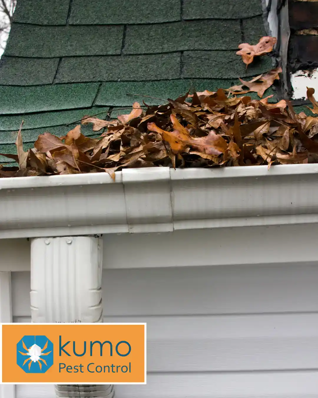 raleigh nc mosquito treatment