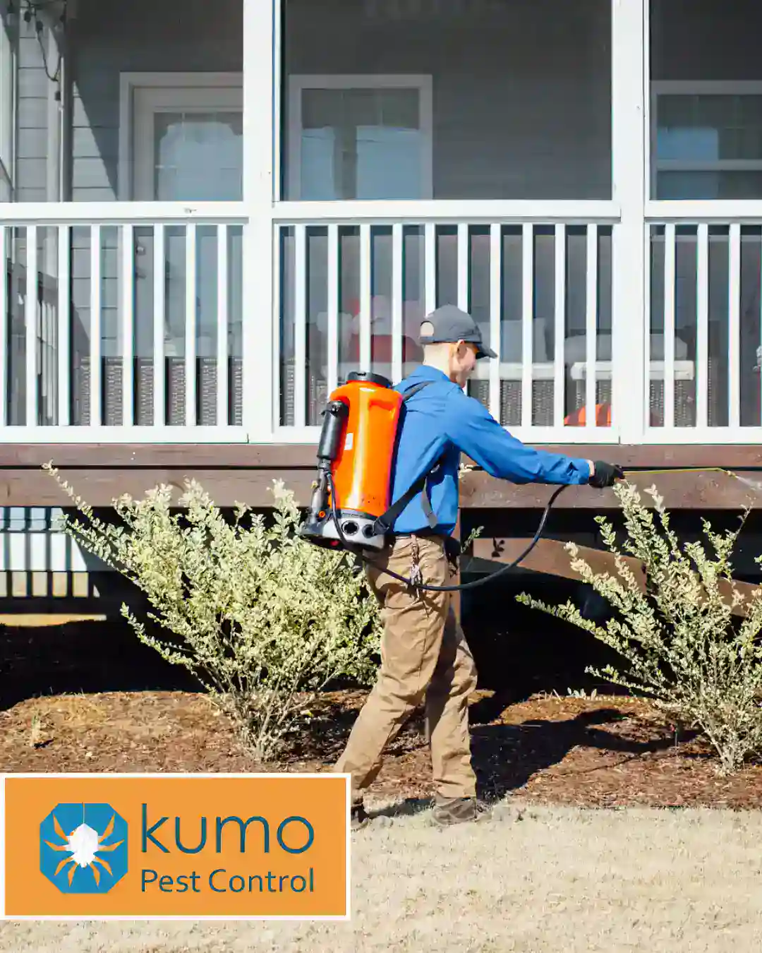 clayton mole control services