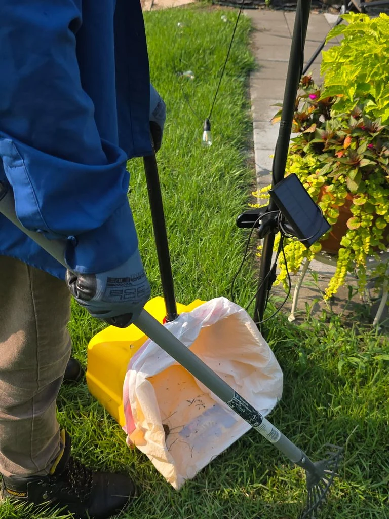 Kumo technician collecting dog waste during a residential yard cleanup